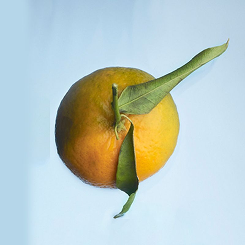 limon